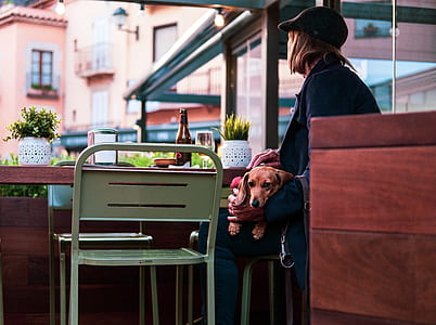 woman sitting on chair while carrying dog thumbnail