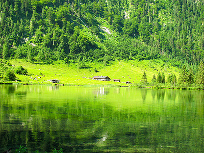 cabin near body of water and surrounded with trees thumbnail