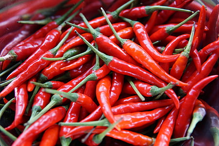 close-up photo of chilli thumbnail