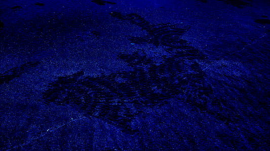 blue, landscape, deer, star thumbnail
