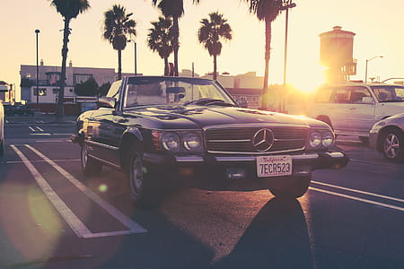 sunset, trees, car, vehicle thumbnail