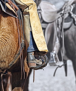 person riding horse thumbnail
