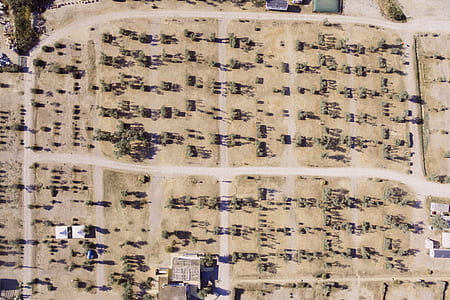 top view photography of open field and houses thumbnail