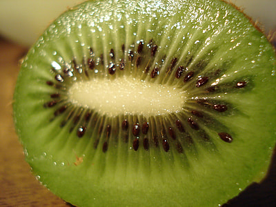 Kiwi Cross Section  thumbnail