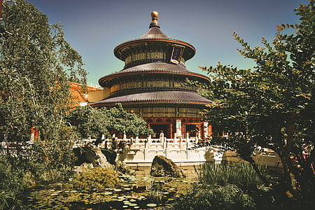 brown and black temple with green trees under clear blue sky thumbnail