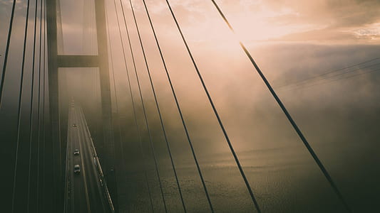sea, road, nature, water thumbnail
