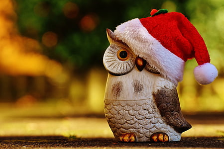 close-up photography of owl figurine wearing red Santa Claus hat thumbnail