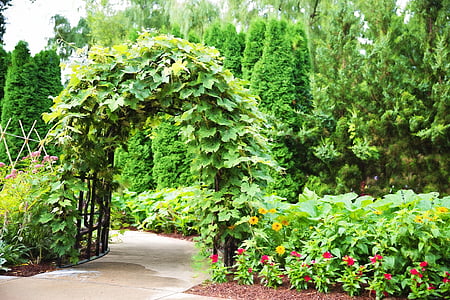 pathway covered with flowers thumbnail