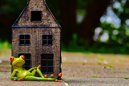 green frog reclining near house figurine in selective focus photography thumbnail