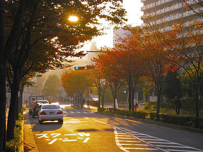 photo of street during daytime with parking cars thumbnail