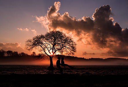silhouette photo of two person near bare tree under cloudy sky during daytime thumbnail