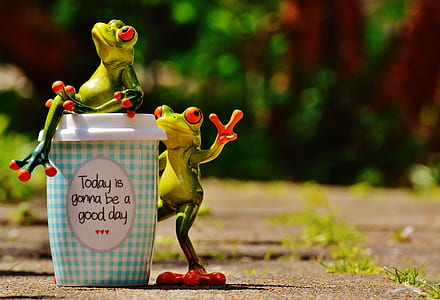 shallow focus photography of green frog figurines thumbnail