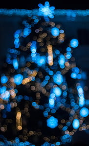 lights, christmas tree, christmas, bokeh thumbnail