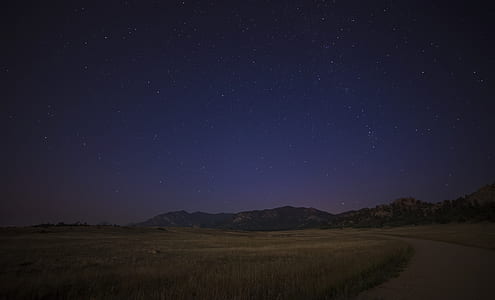 landscape photo of green grass field during night time thumbnail