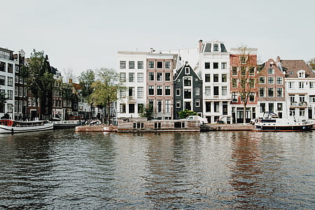 white and brown houses beside body of water thumbnail