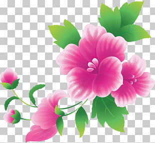 Pink flowers , Large Pink Flowers , pink petaled flowers illustration PNG clipart