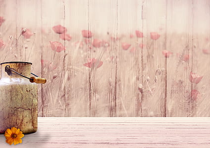 brown milk can near poppy-painted wall thumbnail