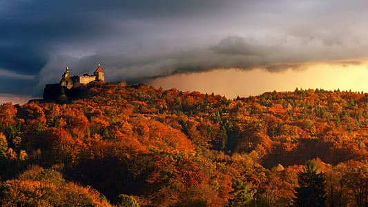 orange forest with castle on top thumbnail