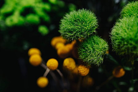 Collection of colourful flower bouquets thumbnail
