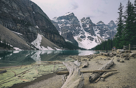 panoramic photo of forest trees near body of water and mountain at daytime thumbnail