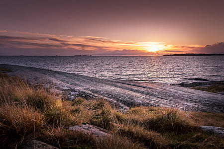 body of water during golden hour thumbnail