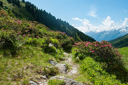 gray rocks and green grass on hill thumbnail