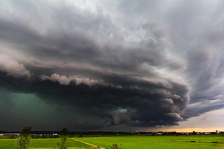 tornado over green field at daytime thumbnail
