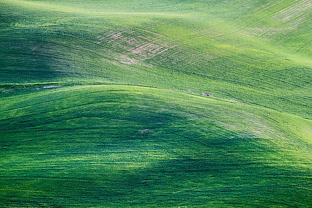 Green Mountain Painting thumbnail