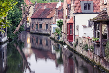 brown concrete houses near lake thumbnail