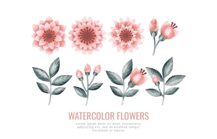Vector Watercolor Flowers and Branches svg, eps, ai file