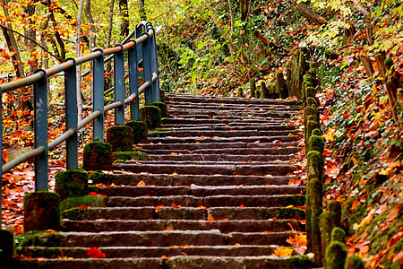 brown concrete stairs during daytime thumbnail