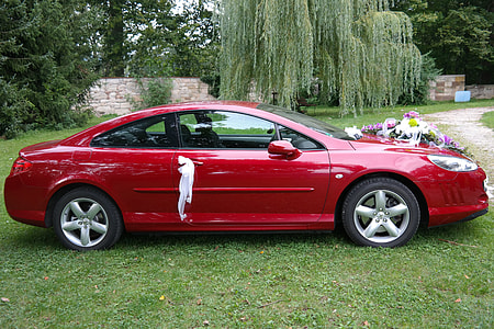 red coupe parked near trees thumbnail