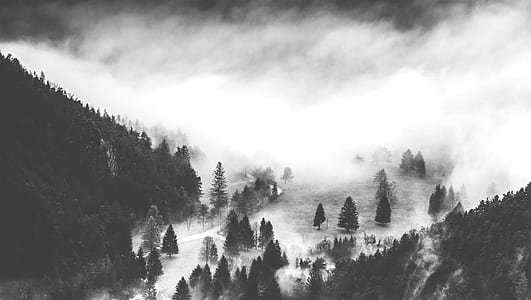 grayscale photo of misty valley thumbnail