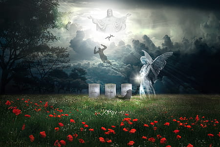 red petaled flower field with religious background wallpaper thumbnail
