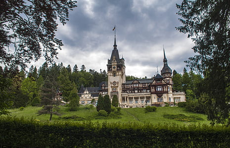 gray castle surrounded of trees thumbnail