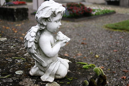 photo of cherub on rack thumbnail