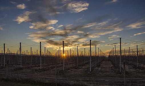 Scenery Fences Overseeing Orange Sunset thumbnail