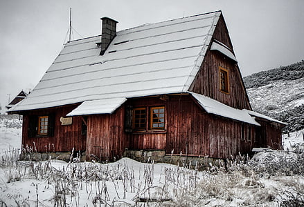 brown wooden house selective color photography thumbnail