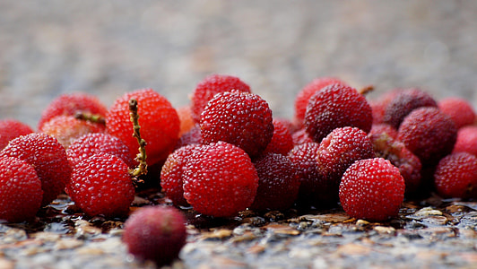 red berries lot thumbnail