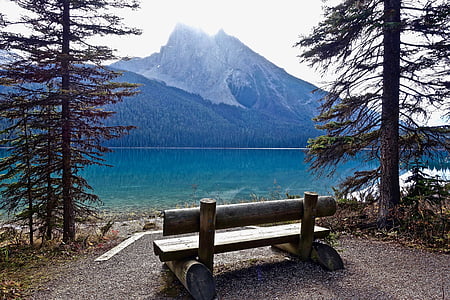 photo of empty bench seat near pine trees far away from body of water and mountain thumbnail