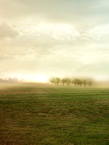 landscape photo of trees and field during daytime thumbnail