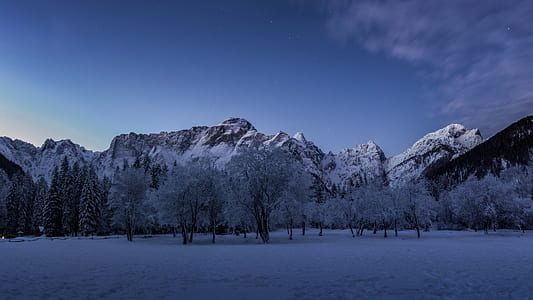 trees and mountains covered with snow at daytime thumbnail