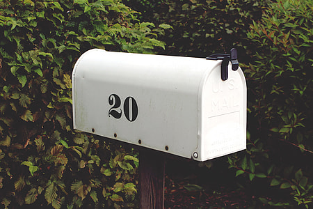 white and black mailbox near green plants thumbnail