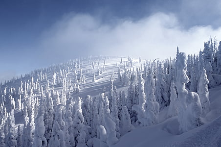 field covered with snow at daytime thumbnail