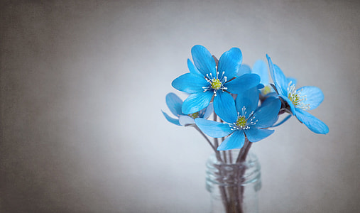 blue 5-petal flower in clear glass bottle thumbnail