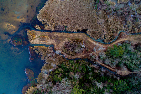 aerial photography of forest with river during daytime thumbnail