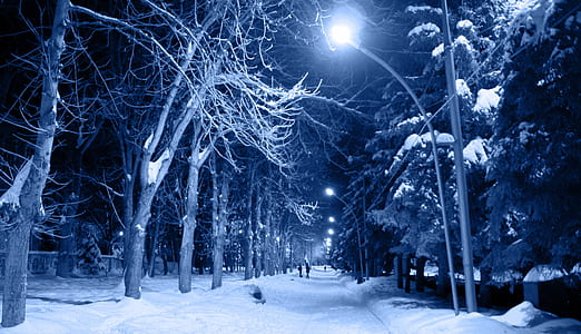 two person walking on snow field in middle of night thumbnail