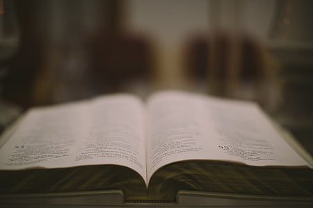 close-up photo of opened book thumbnail
