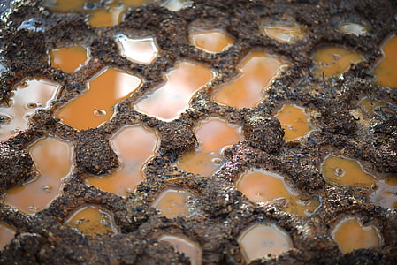 mud with water during daytime thumbnail