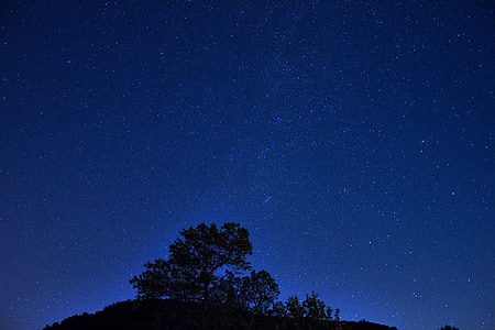 green trees under blue sky and stars at night thumbnail